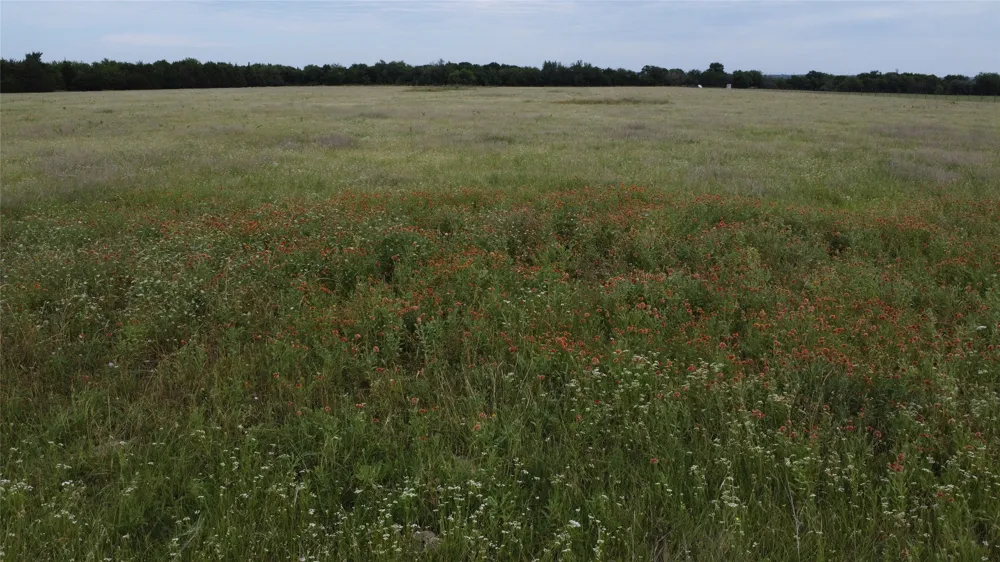 S Hampton Road Oak Leaf, TX 75154