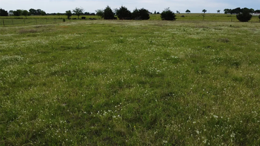 S Hampton Road Oak Leaf, TX 75154