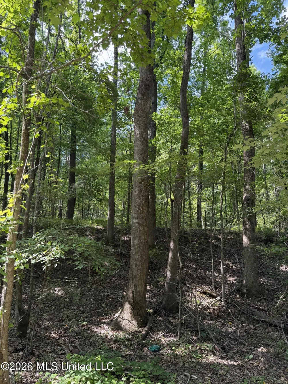 80 Co Rd 5009 Como, MS 38619