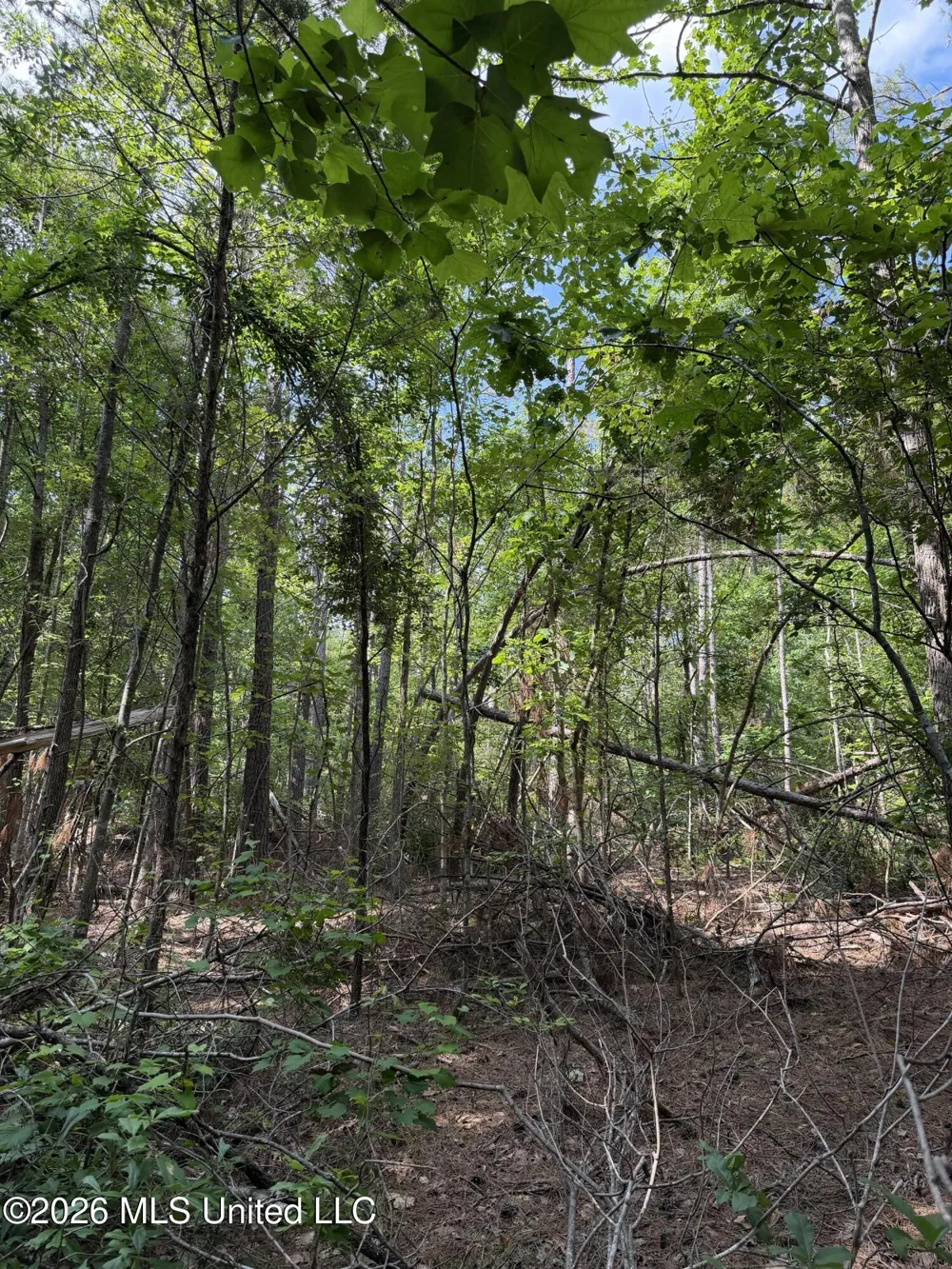 80 Co Rd 5009 Como, MS 38619