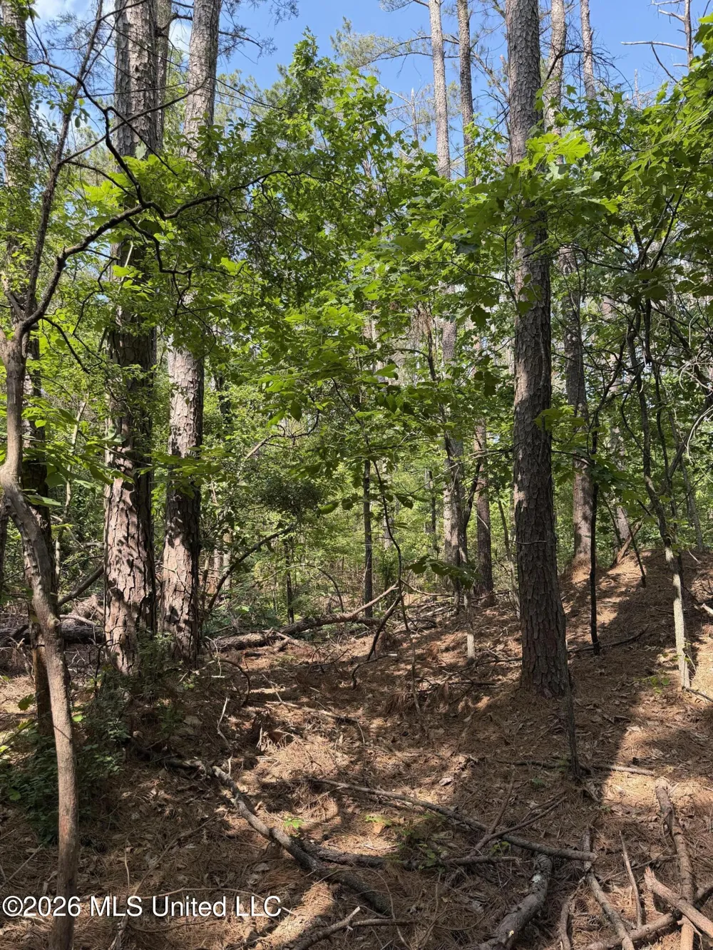 80 Co Rd 5009 Como, MS 38619