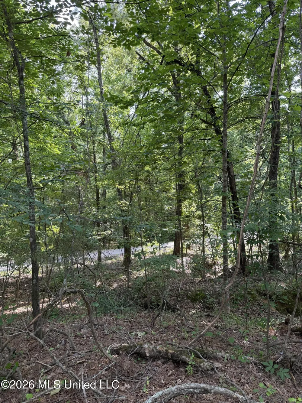 80 Co Rd 5009 Como, MS 38619