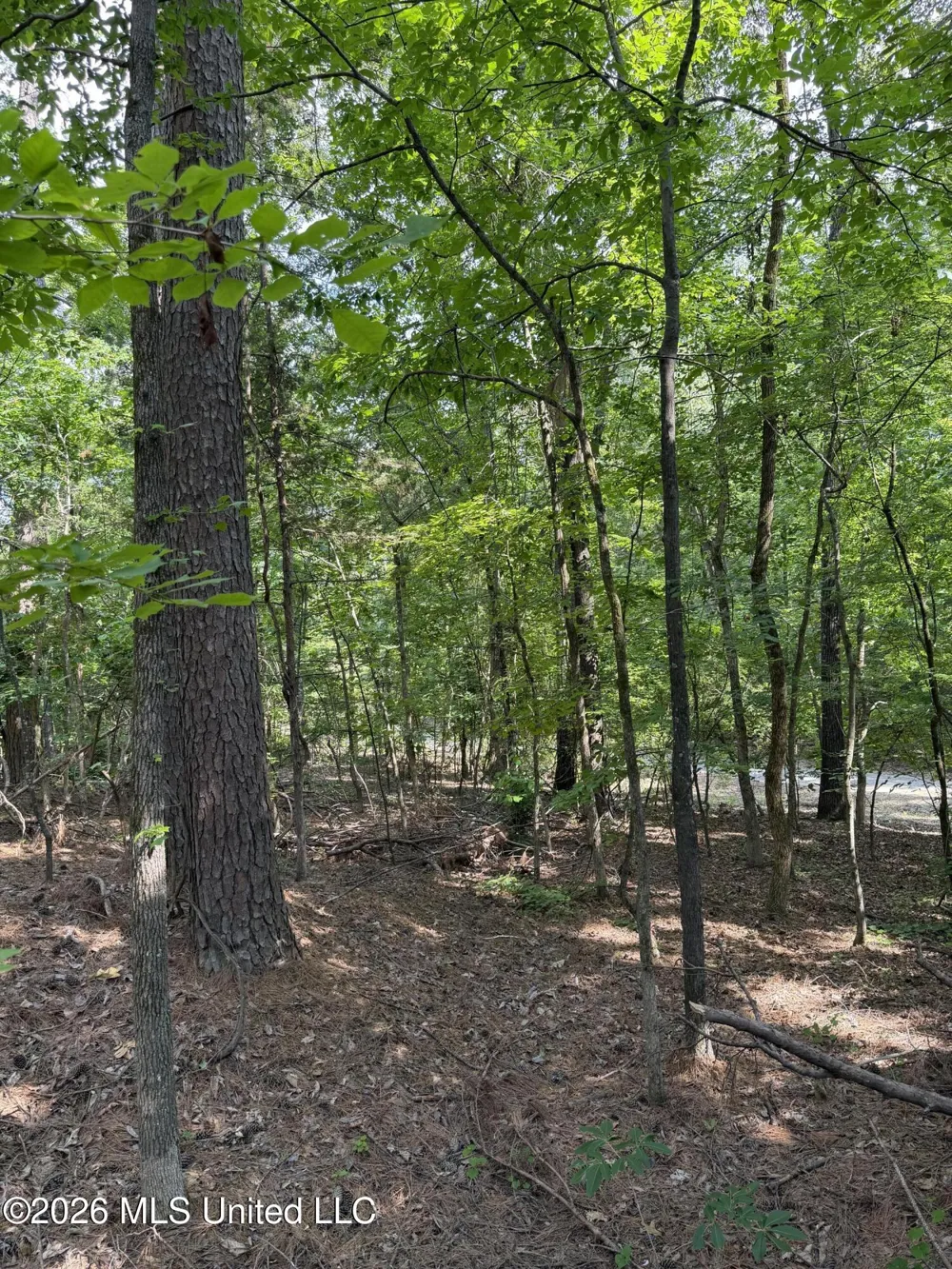 80 Co Rd 5009 Como, MS 38619