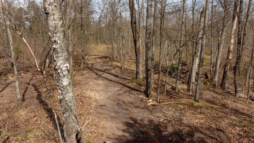 6000 Bass Lake Drive NE Remer, MN 56672