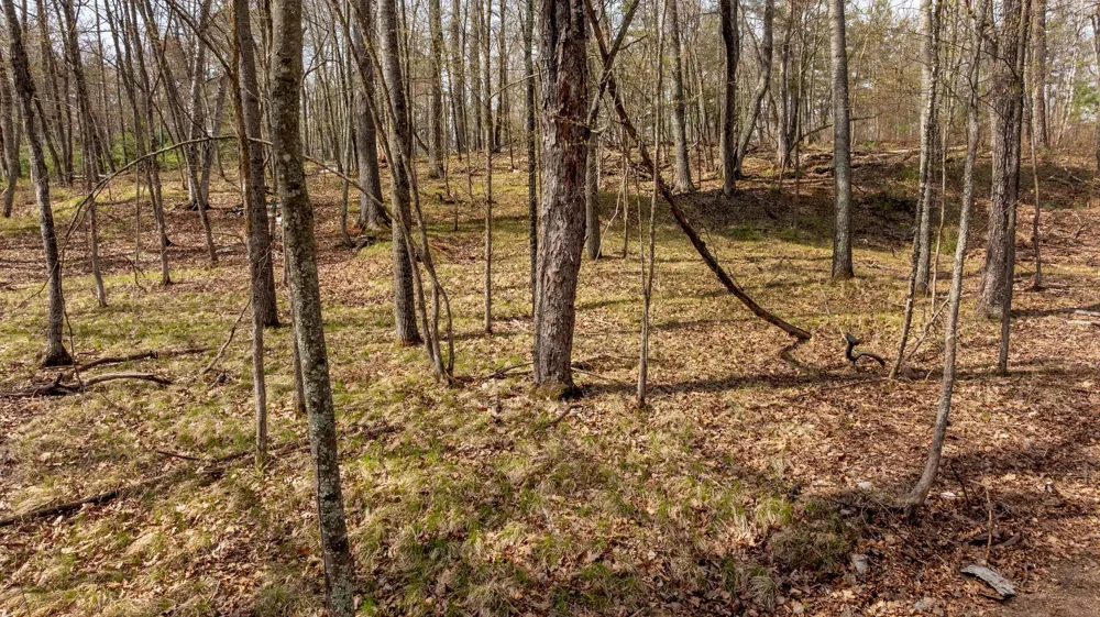 6000 Bass Lake Drive NE Remer, MN 56672