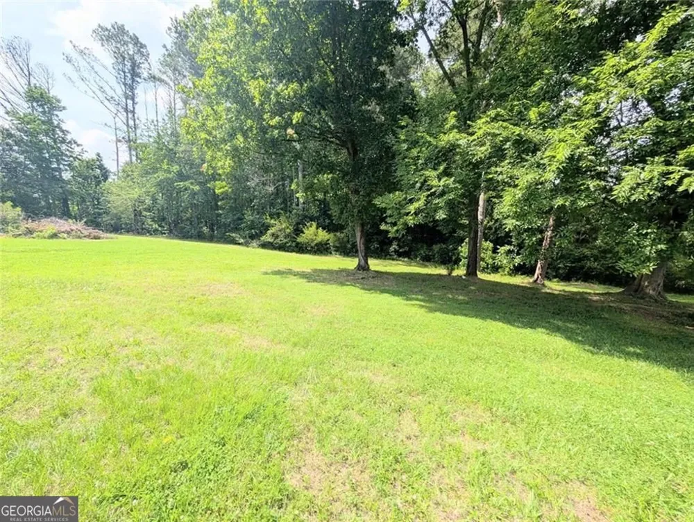 201 Club RD Buchanan, GA 30113