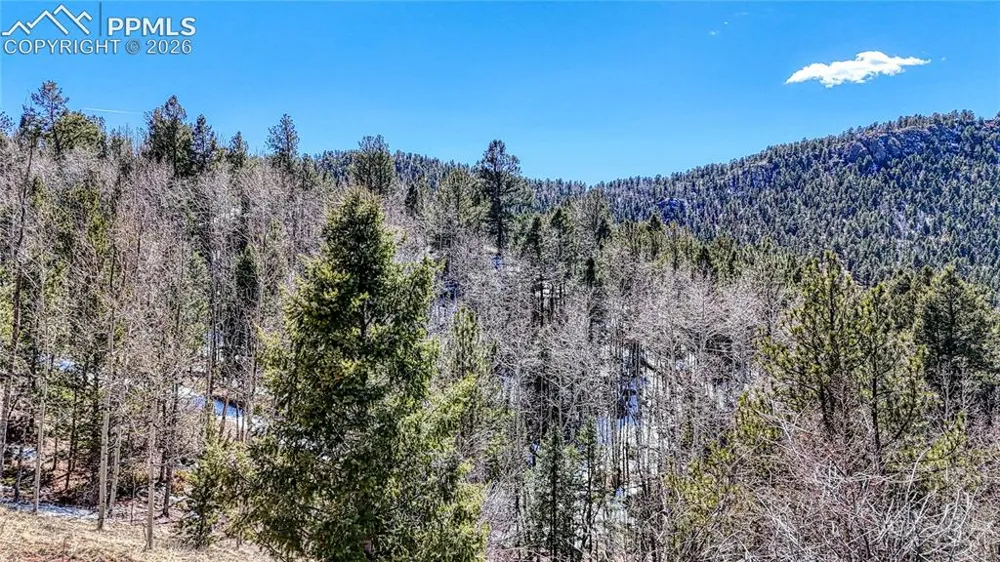 513 Last Dollar Drive Cripple Creek, CO 80813