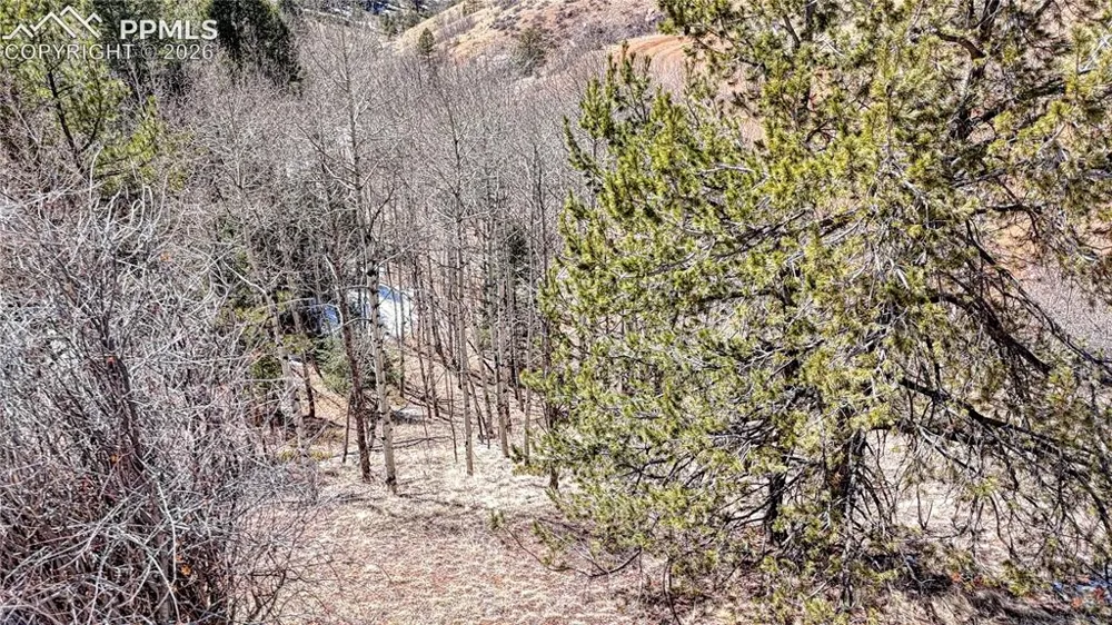 513 Last Dollar Drive Cripple Creek, CO 80813