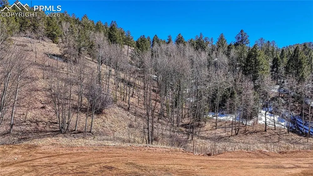 513 Last Dollar Drive Cripple Creek, CO 80813