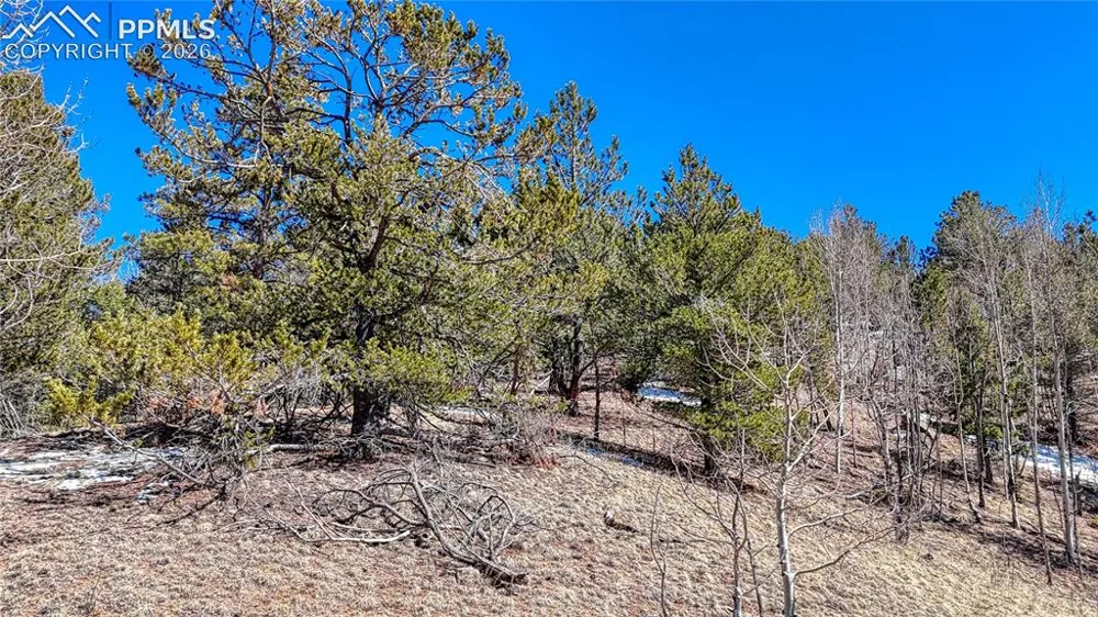 513 Last Dollar Drive Cripple Creek, CO 80813
