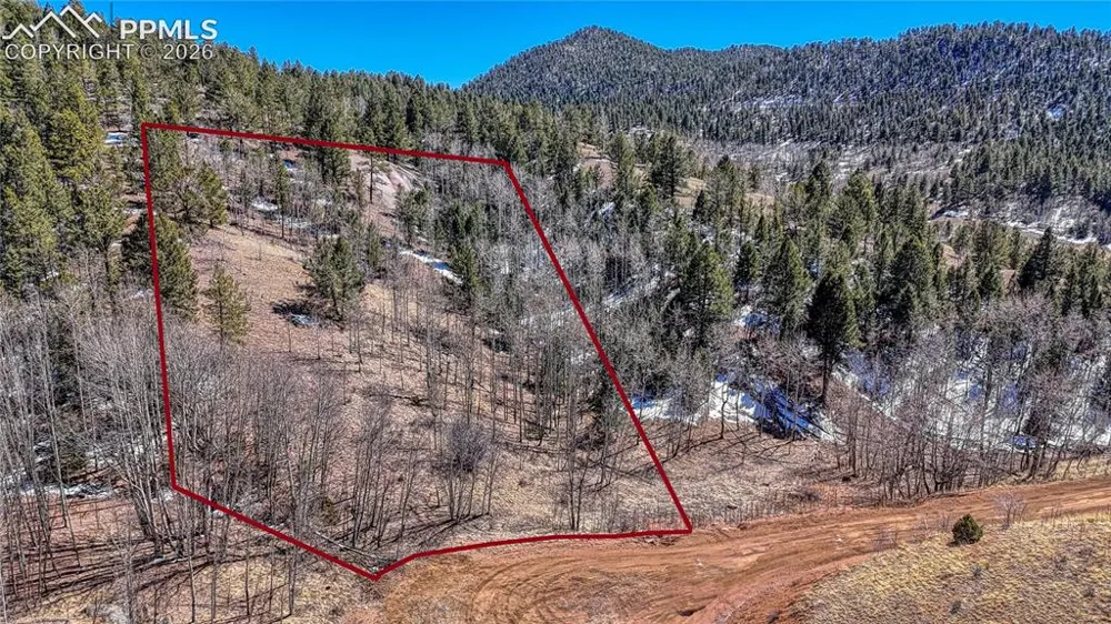 513 Last Dollar Drive Cripple Creek, CO 80813