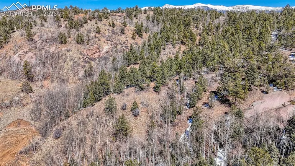 513 Last Dollar Drive Cripple Creek, CO 80813