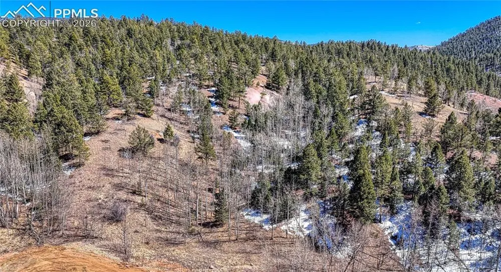 513 Last Dollar Drive Cripple Creek, CO 80813