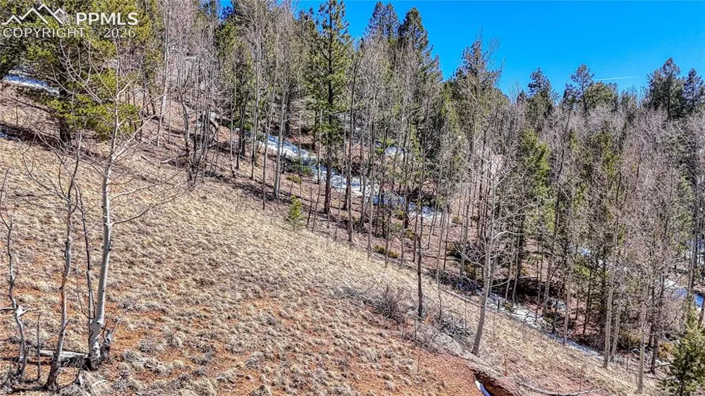 513 Last Dollar Drive Cripple Creek, CO 80813
