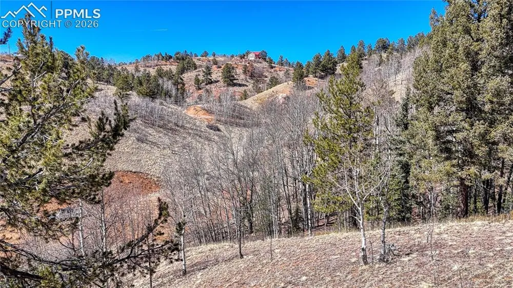 513 Last Dollar Drive Cripple Creek, CO 80813