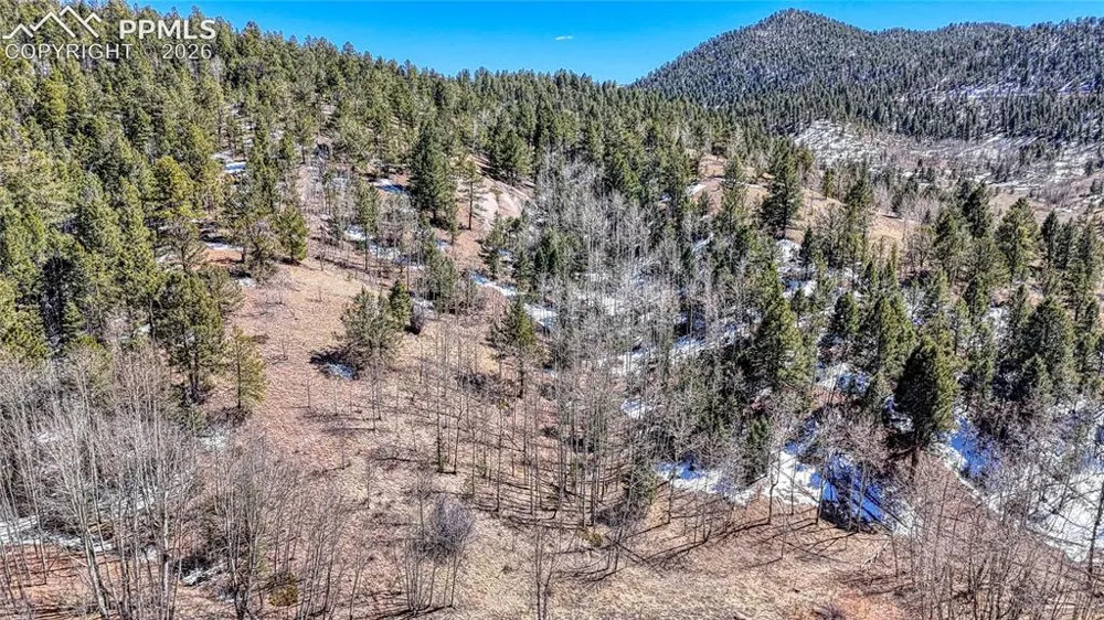 513 Last Dollar Drive Cripple Creek, CO 80813