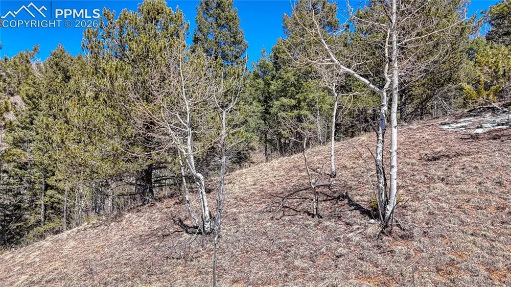 513 Last Dollar Drive Cripple Creek, CO 80813
