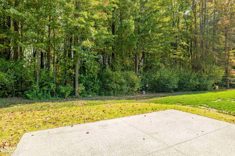 9279 Oakdale Street Clay Township, MI 48001