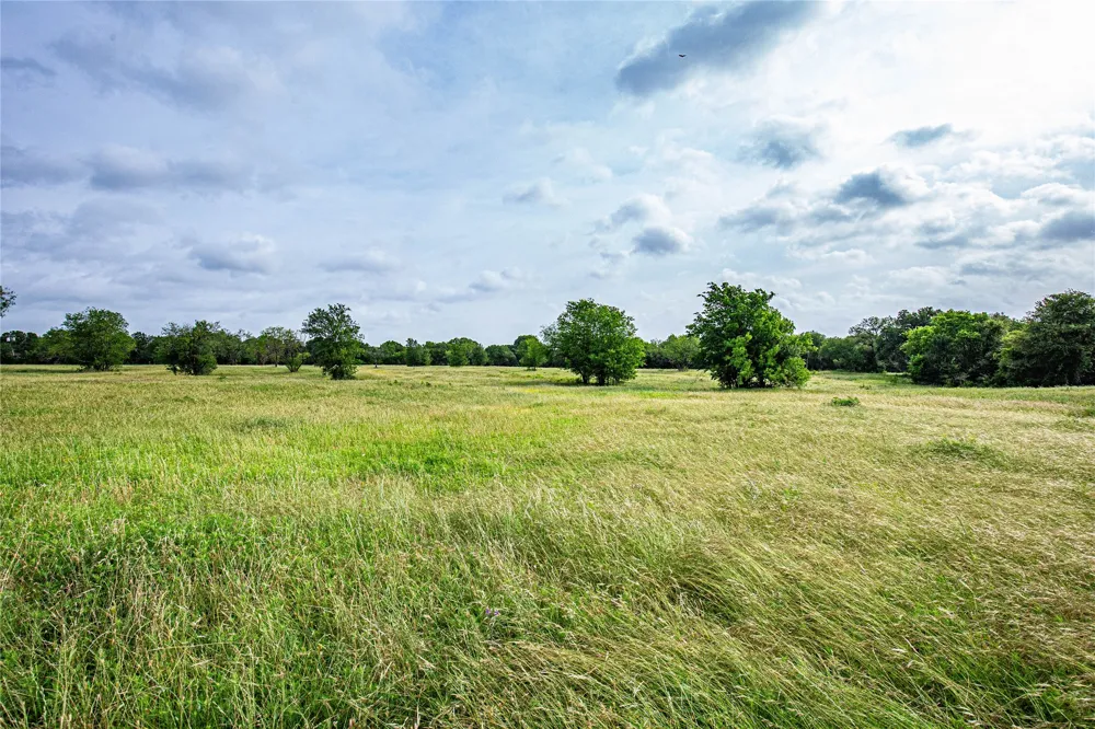 Gholson Road Waco, TX 76705