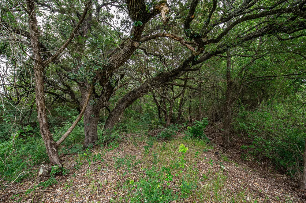 Gholson Road Waco, TX 76705