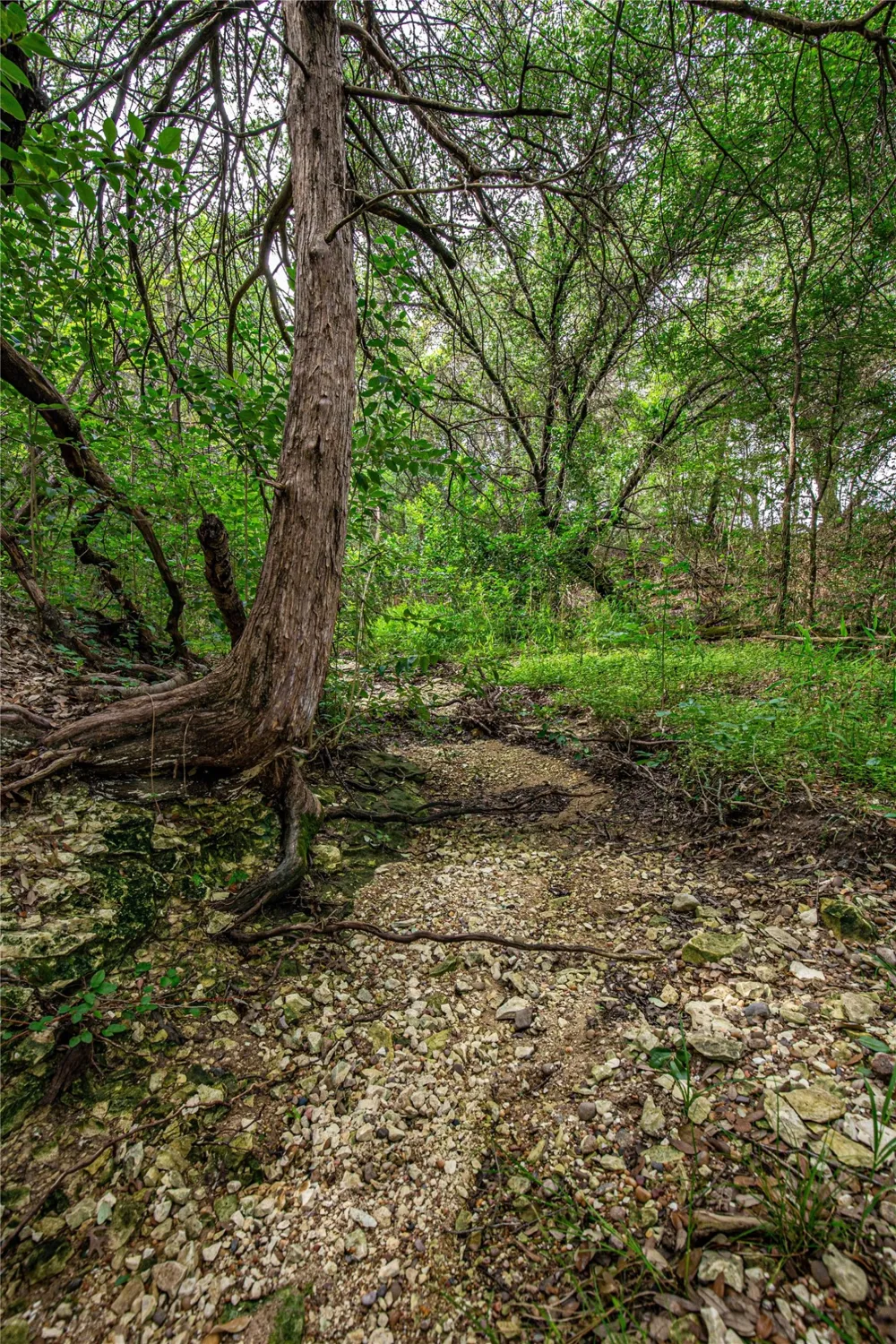 Gholson Road Waco, TX 76705