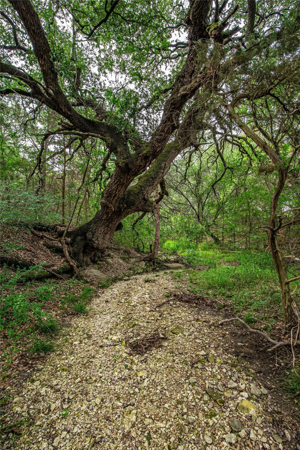 Gholson Road Waco, TX 76705