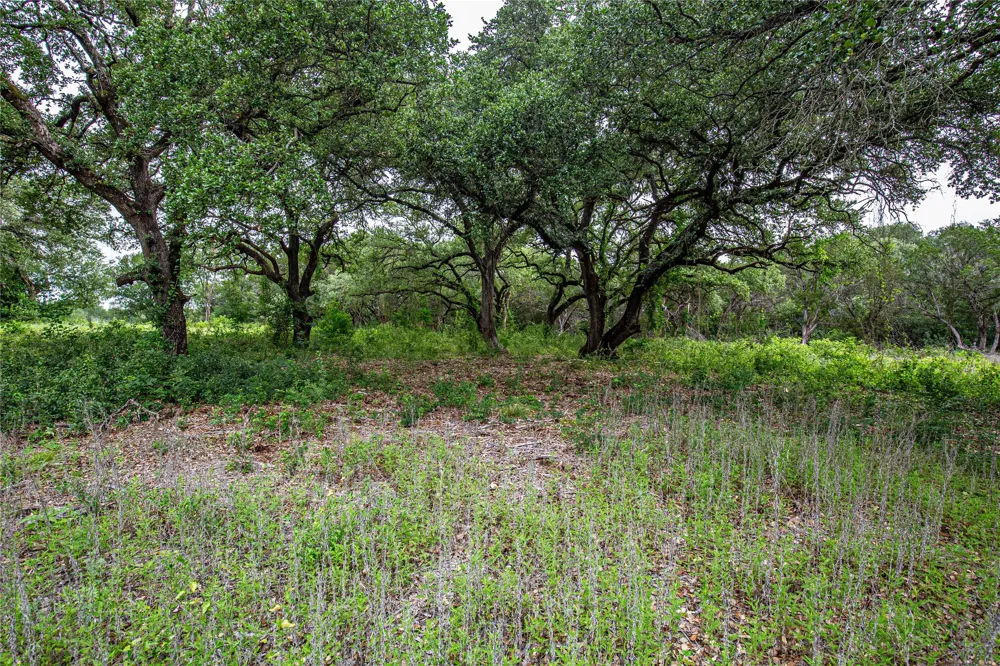 Gholson Road Waco, TX 76705