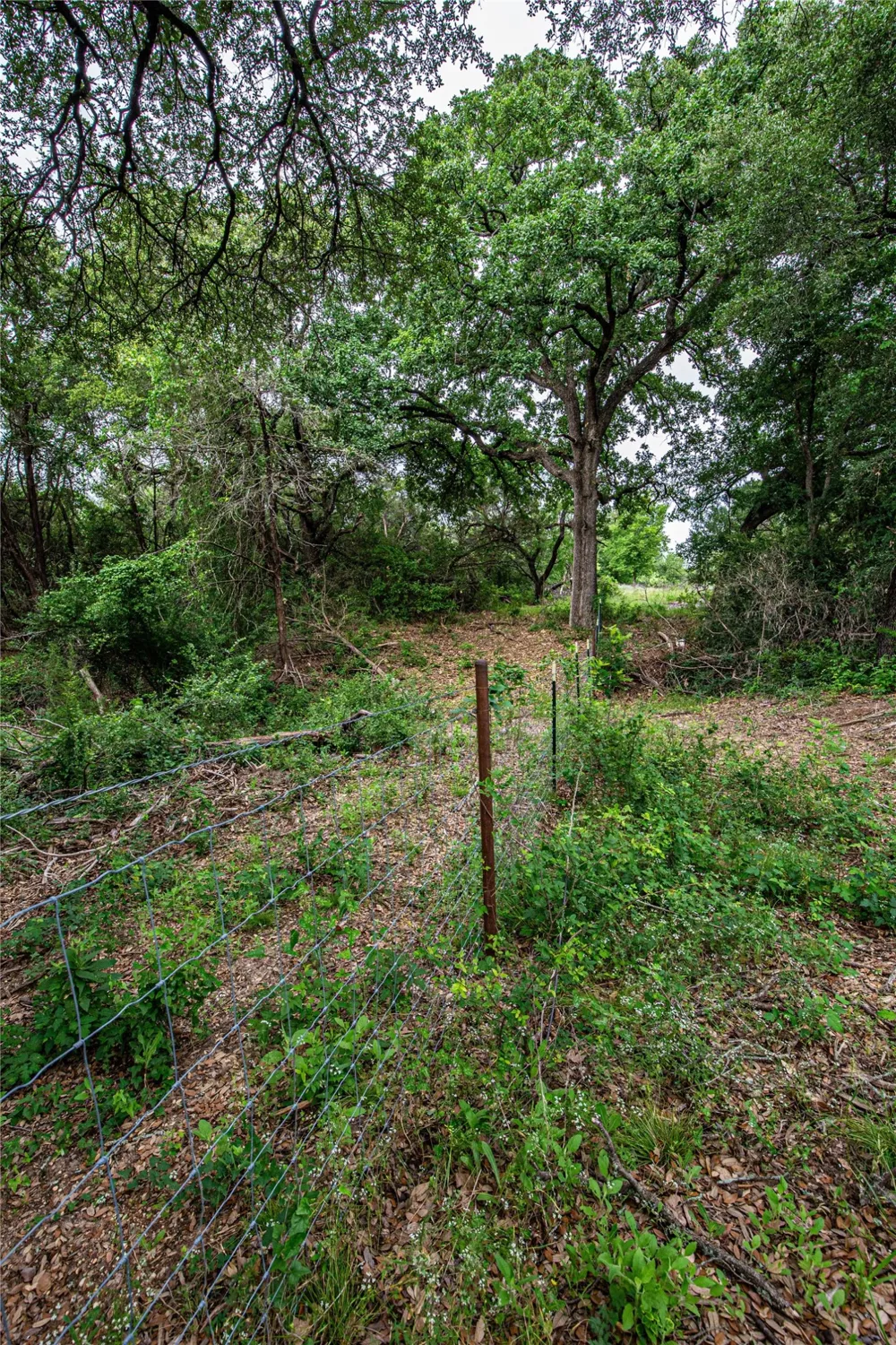Gholson Road Waco, TX 76705