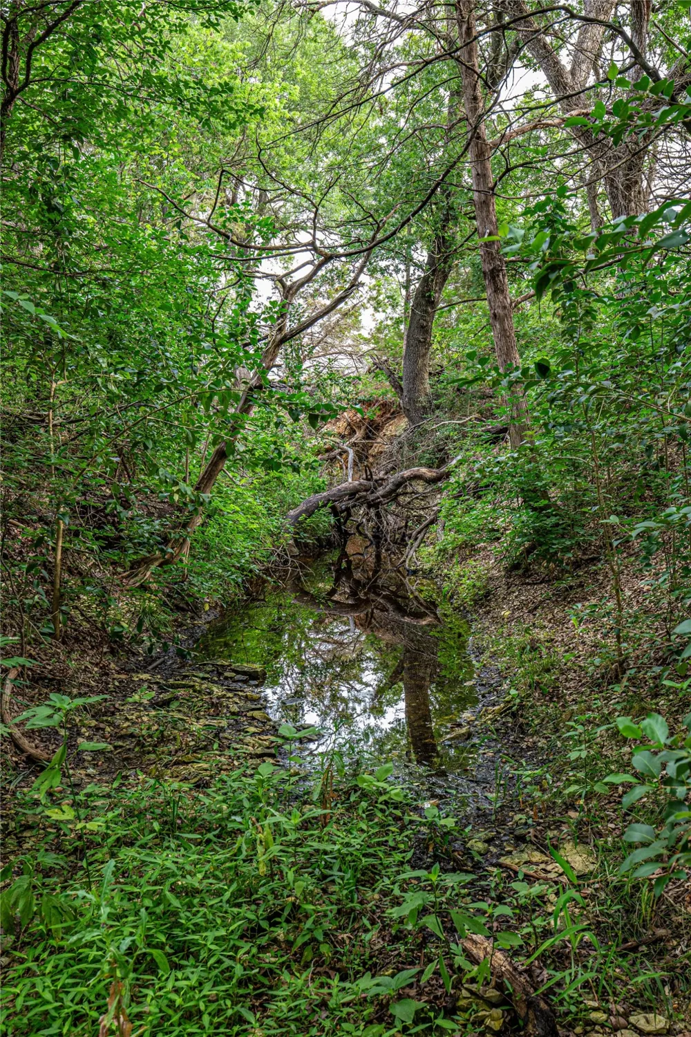 Gholson Road Waco, TX 76705