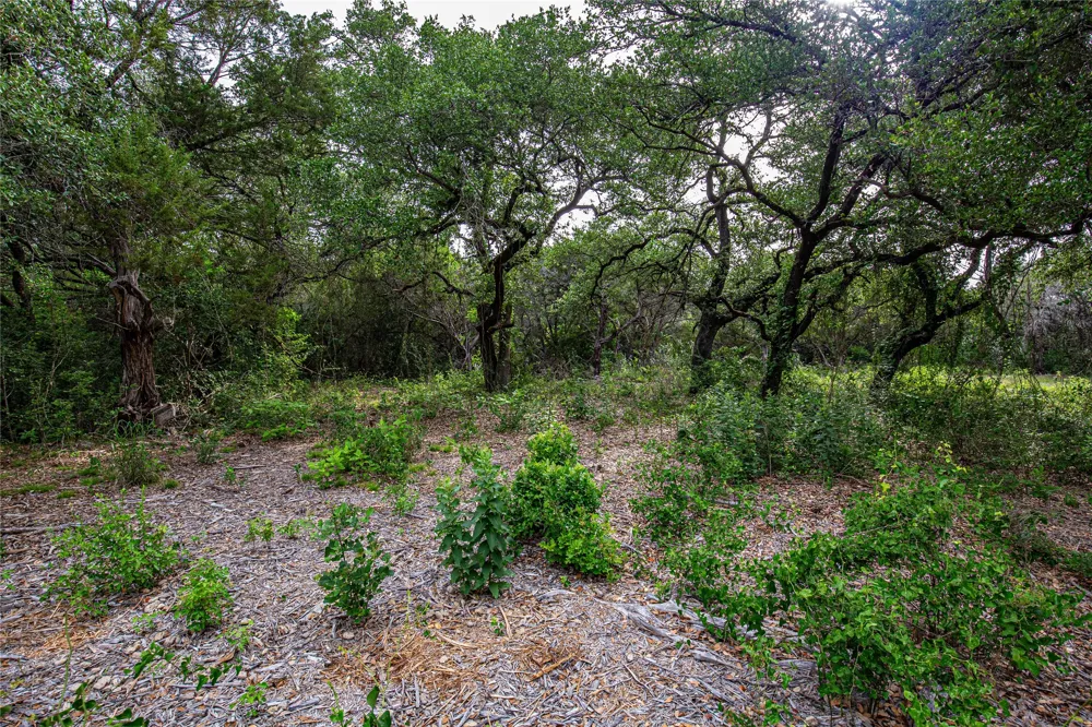 Gholson Road Waco, TX 76705