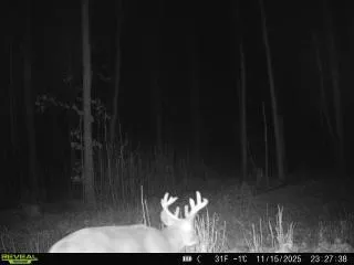 xxx Fleming Logging Road Hinckley, MN 55037