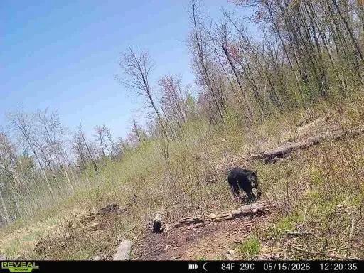 xxx Fleming Logging Road Hinckley, MN 55037