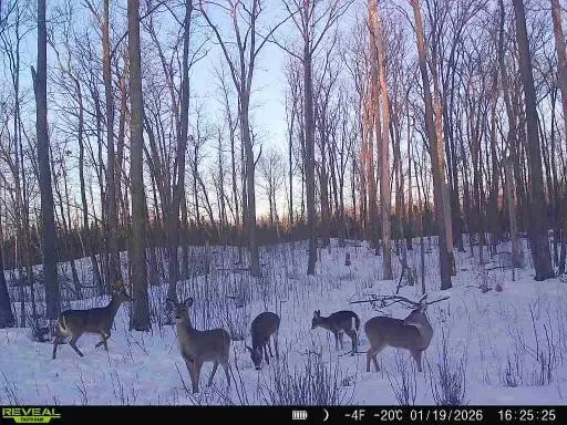 xxx Fleming Logging Road Hinckley, MN 55037
