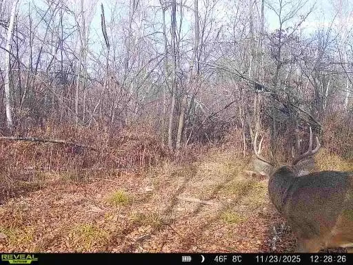 xxx Fleming Logging Road Hinckley, MN 55037