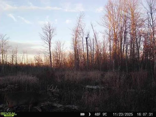 xxx Fleming Logging Road Hinckley, MN 55037