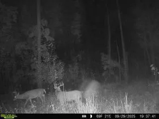 xxx Fleming Logging Road Hinckley, MN 55037