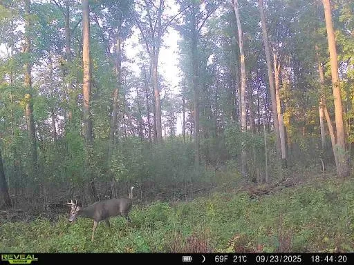 xxx Fleming Logging Road Hinckley, MN 55037