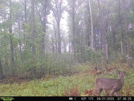 xxx Fleming Logging Road Hinckley, MN 55037