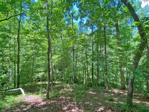 0 Hickory Nut Trail