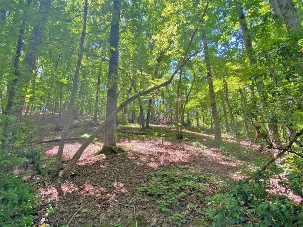 0 Hickory Nut Trail Dahlonega, GA 30533
