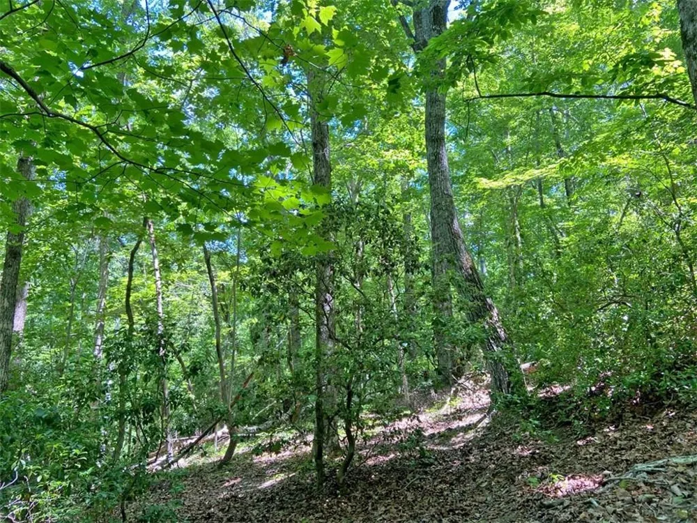 0 Hickory Nut Trail Dahlonega, GA 30533
