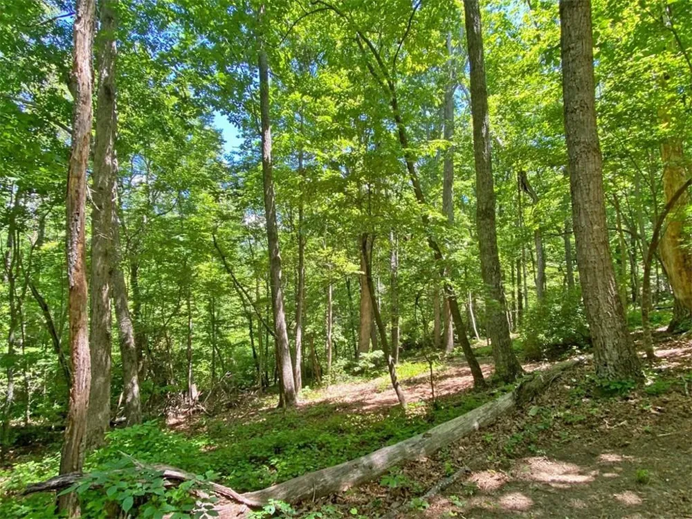 0 Hickory Nut Trail Dahlonega, GA 30533