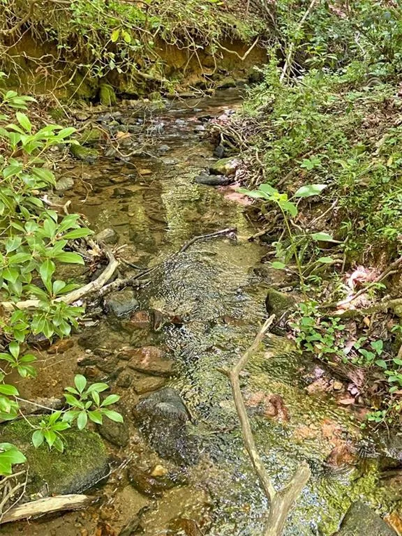 0 Hickory Nut Trail Dahlonega, GA 30533