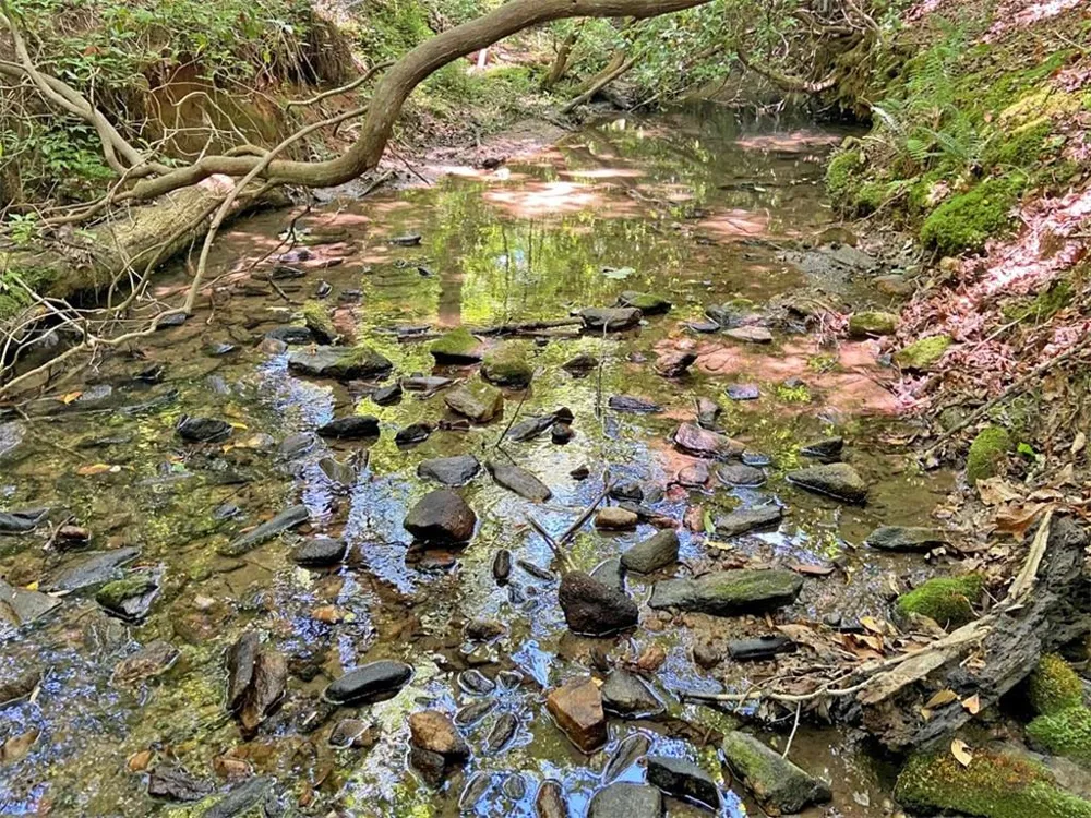 0 Hickory Nut Trail Dahlonega, GA 30533
