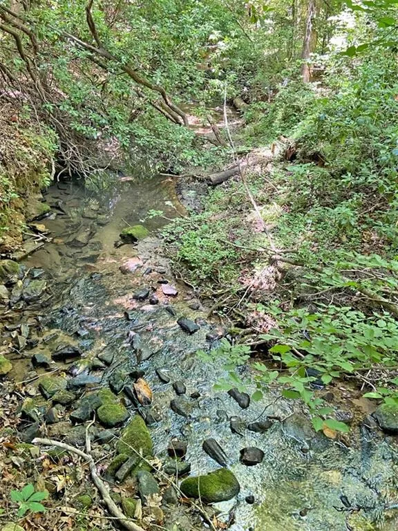 0 Hickory Nut Trail Dahlonega, GA 30533