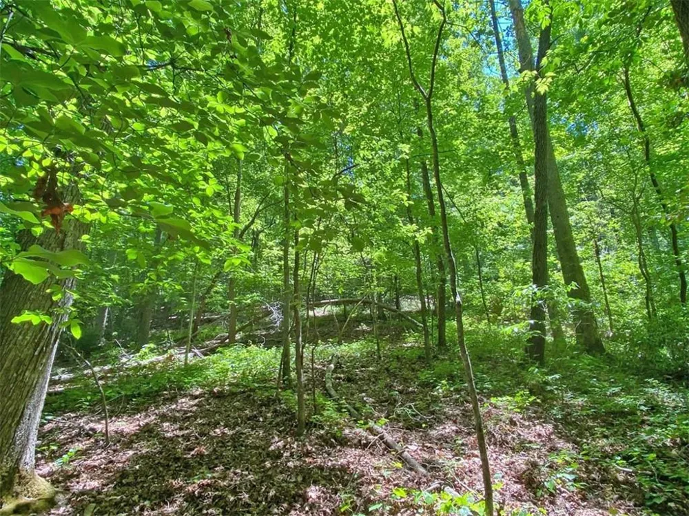 0 Hickory Nut Trail Dahlonega, GA 30533