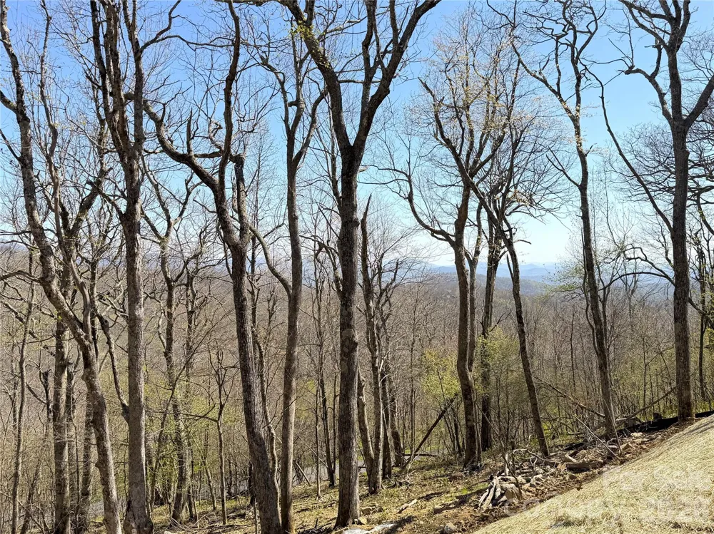536 Boone Ridge Lane Boone, NC 28607