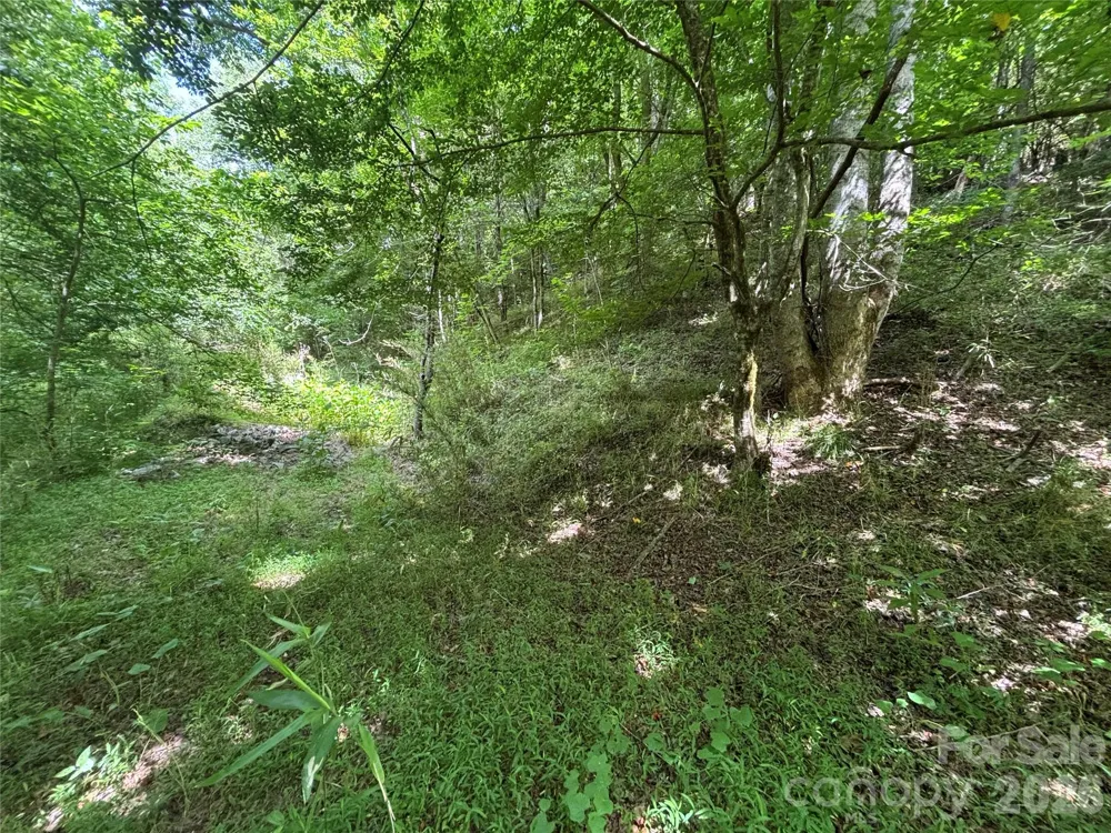 TBD Heartwood Drive #41 Collettsville, NC 28611