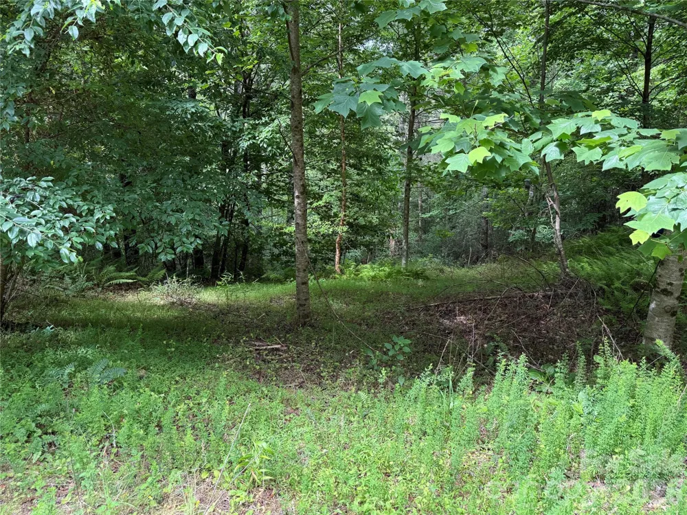 TBD Heartwood Drive #41 Collettsville, NC 28611