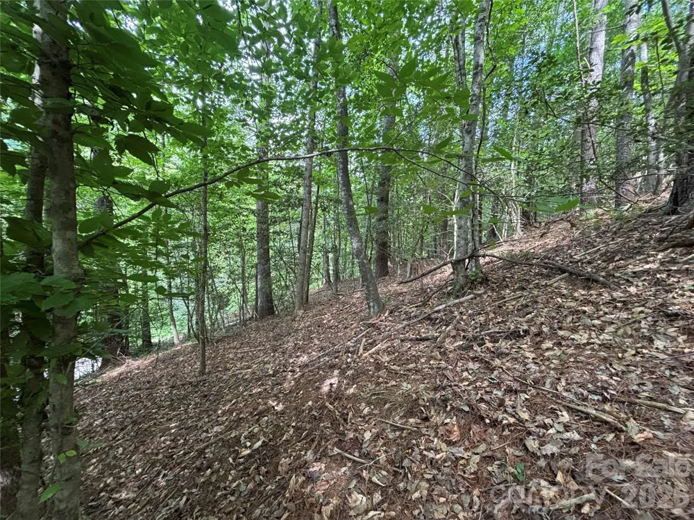 TBD Heartwood Drive #41 Collettsville, NC 28611